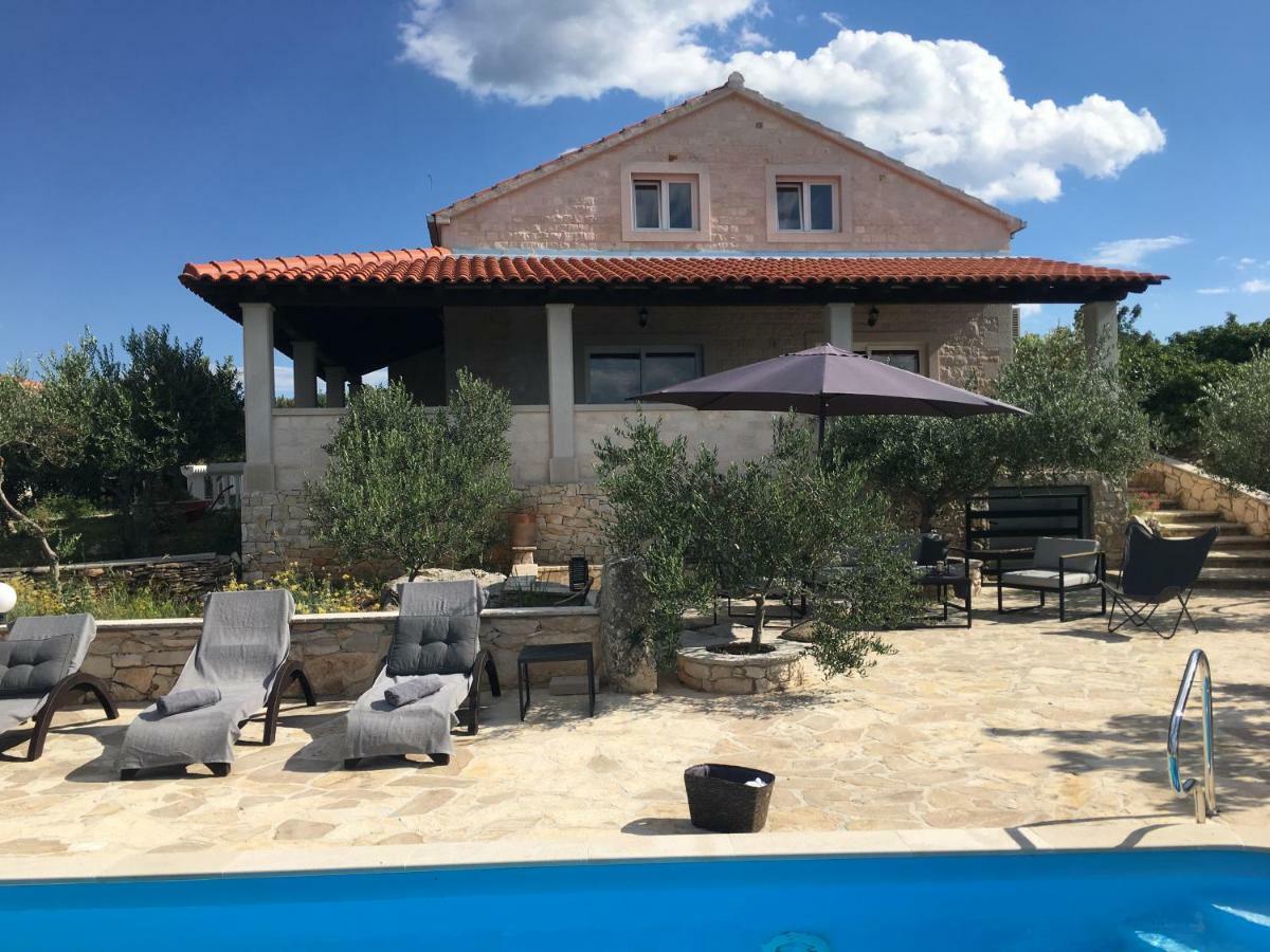 Belvedere Ziza * Donji Humac